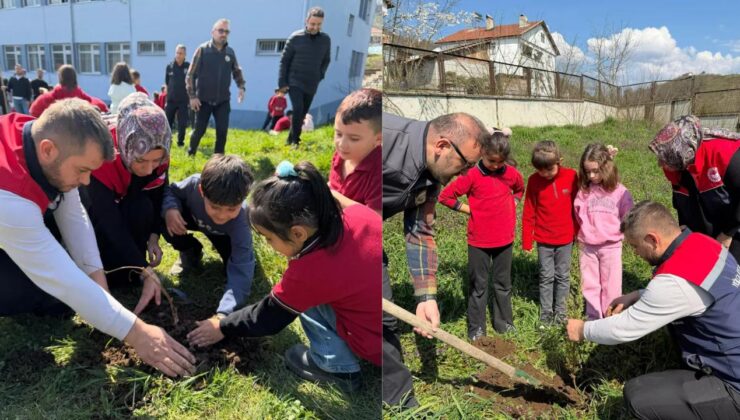 Yığılca’da Minik Eller Fidanları Toprakla Buluşturdu
