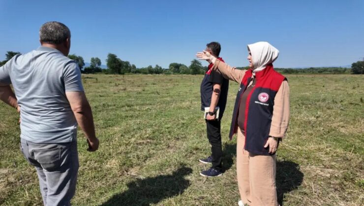 Gölyaka’da 400 Dönümlük Mera Hayvancılığa Kazandırıldı