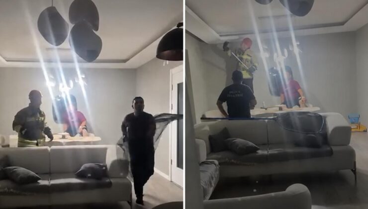 Evine Yarasa Girdi, İtfaiyeden Yardım İstedi